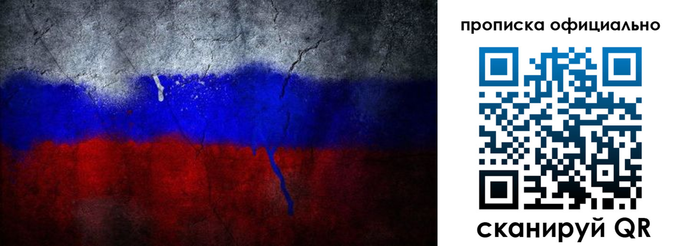 регистрация в Курской области